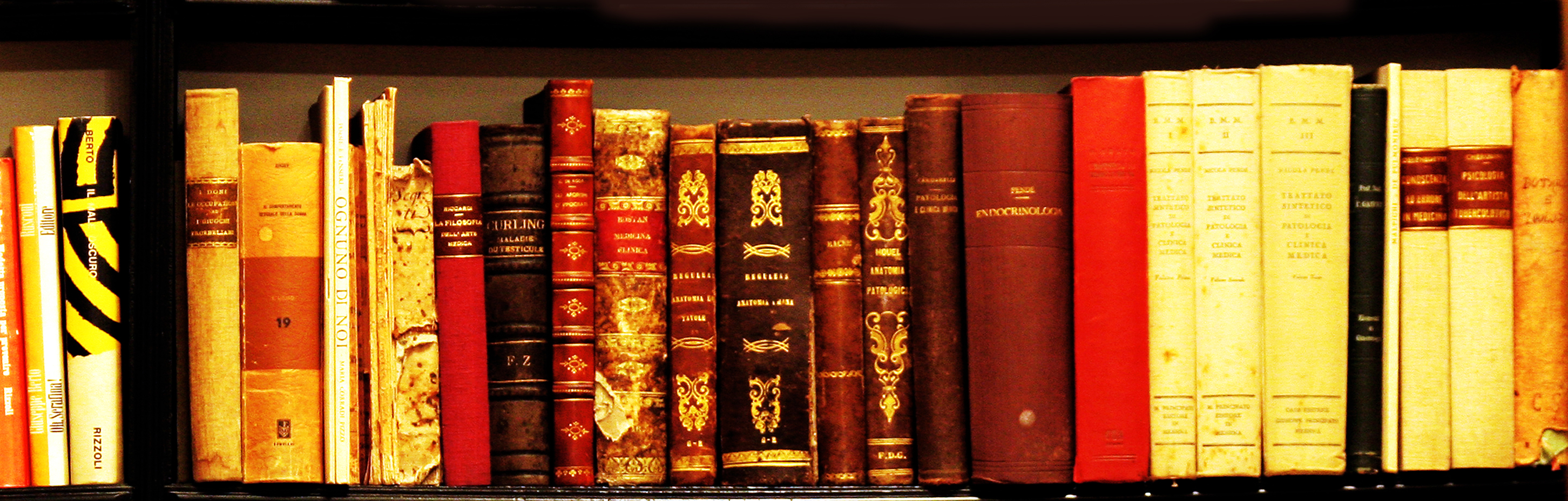 eric edson s 5 favorite online screenplay libraries